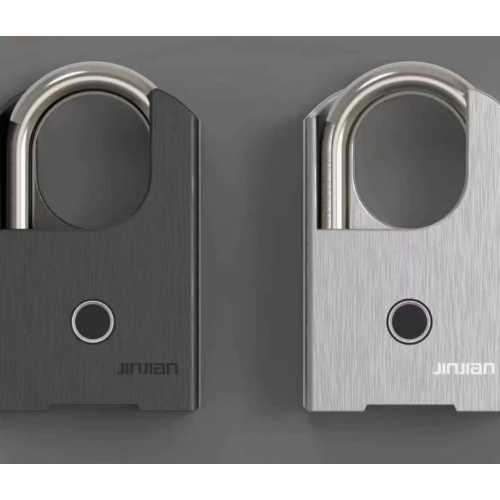 Fingerprint Padlock Large Size Smart Lock Bluetooth Padlock with Keyless Biometric Supplier